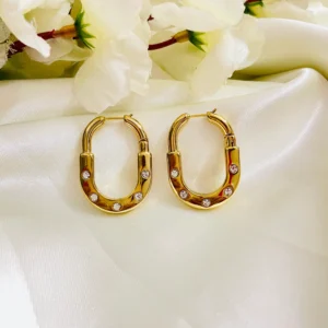 Orryn Lock Anti Tarnish Earrings